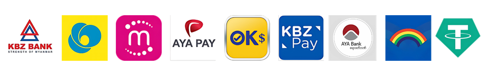 shwe999 payment type