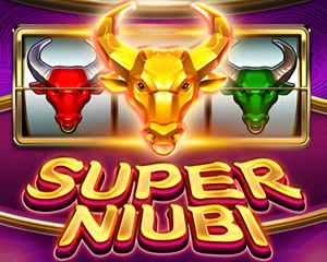 super niubi slot